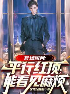 官场风月：平行红顶，能看见麻烦官场风月：平行红顶，能看见麻烦